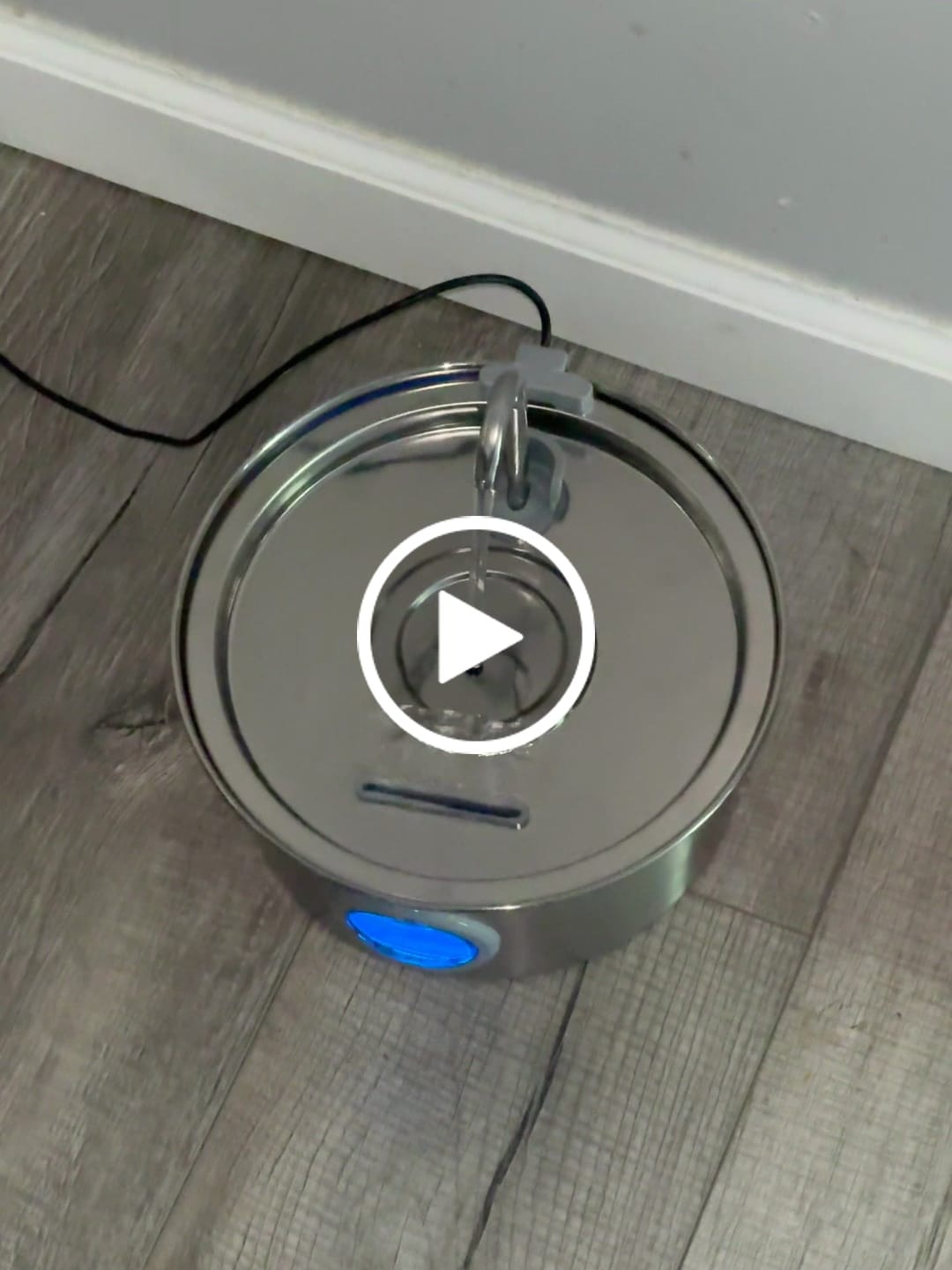 Customer video review of Pawdrate™ Filtered Water Fountain