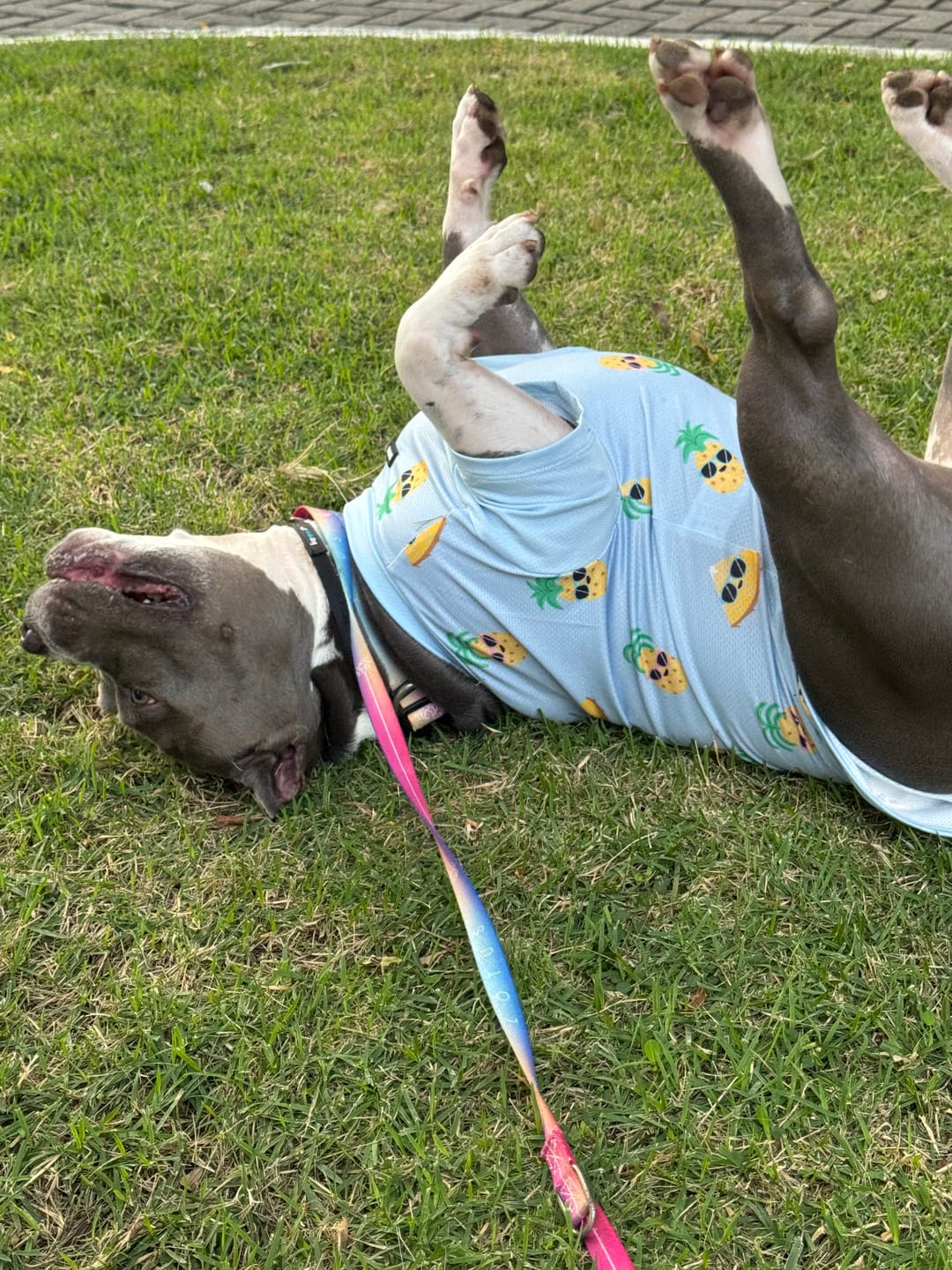 Customer photo review of Sunblock T-Shirt 3 Pack