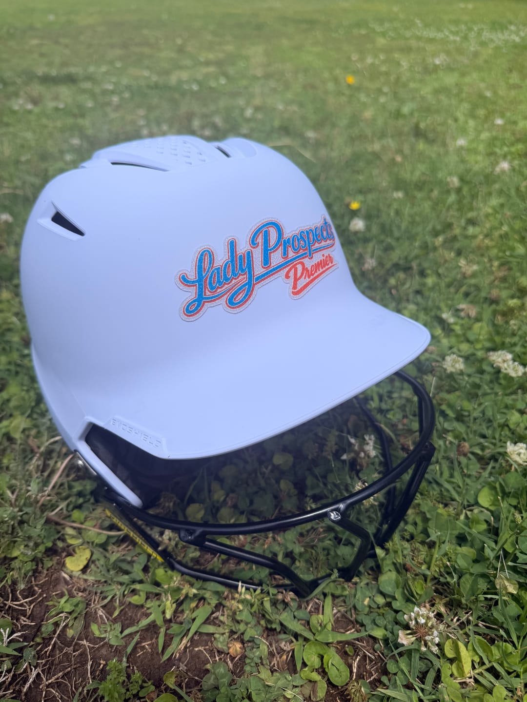 Customer photo review of Helmet Decals