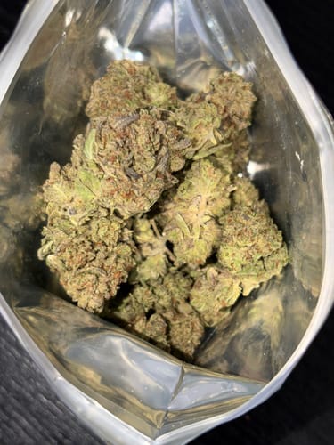 Customer photo review of Ghost Train Haze THCA Flower