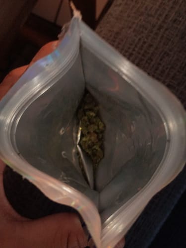 Sherbet Cookies Littles - Bulk Littles - Hybrid photo review
