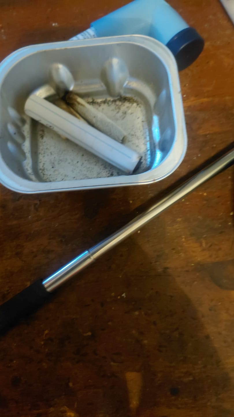 Customer photo review of Jack Herer - Indoor - 14 Grams - Sativa