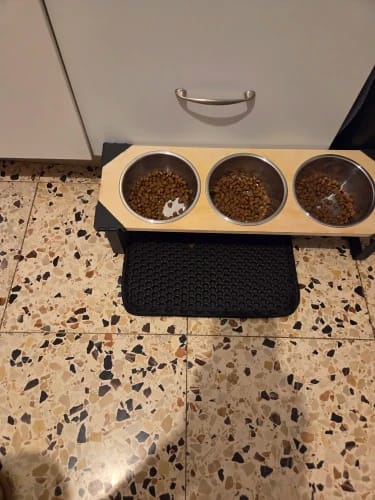 Customer photo review of Cat Litter Mat Double Layer Pet Non Slip Big Pet Litter Box Filter MatWear Resistant Waterproof Anti-slip Cat Litter Mat
