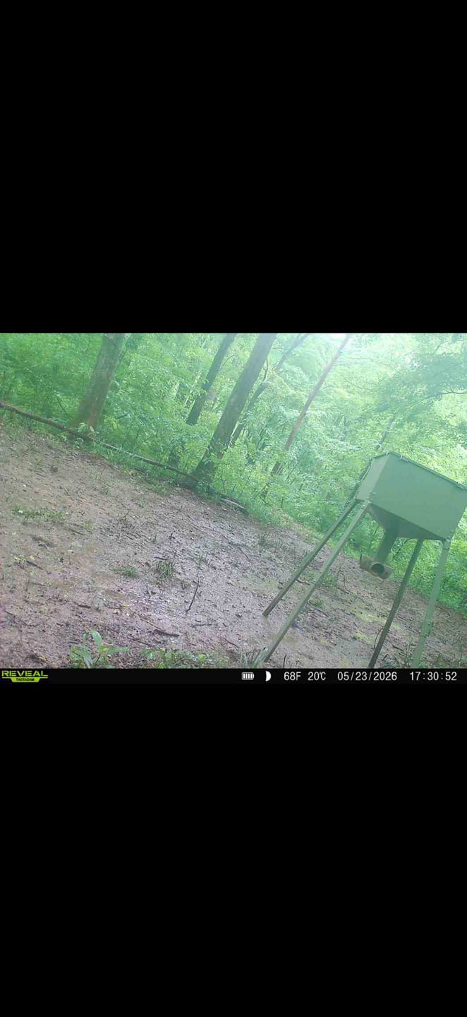 Customer photo review of Comeback Kid™ Food Plot Seed