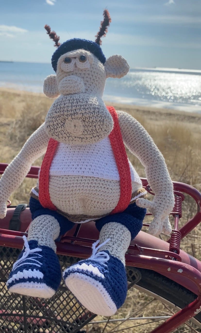 Customer photo review of YarnArt Jeans