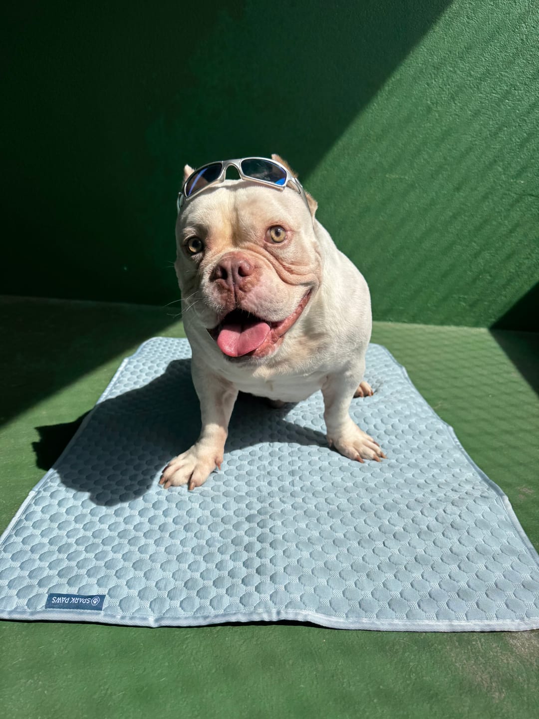 Customer photo review of Frostcore™ Cooling Mat 2 Pack