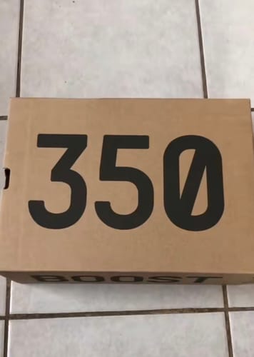 Customer photo review of YEEZY BOOST 350 V2 OREO