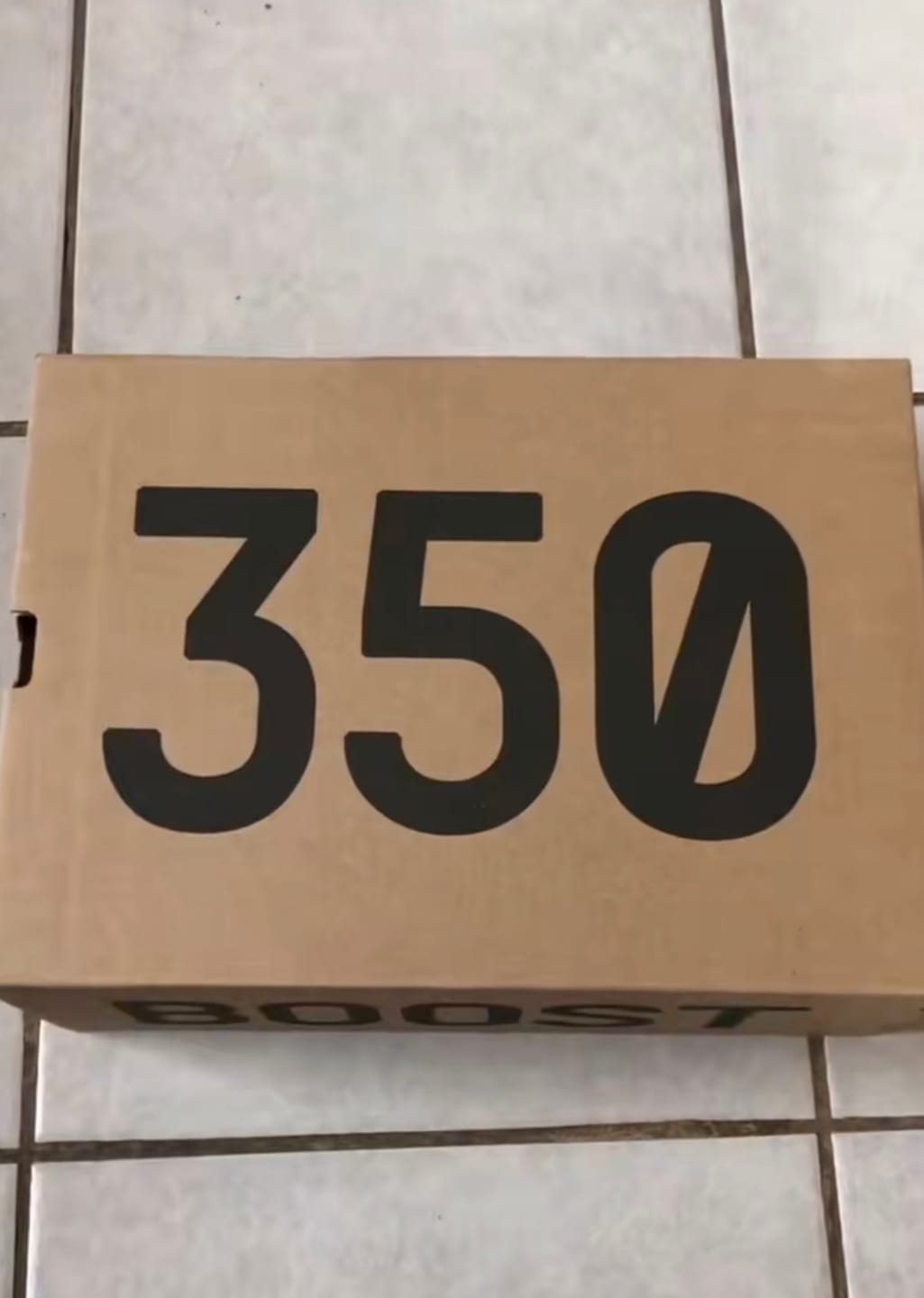 Customer photo review of YEEZY BOOST 350 V2 OREO