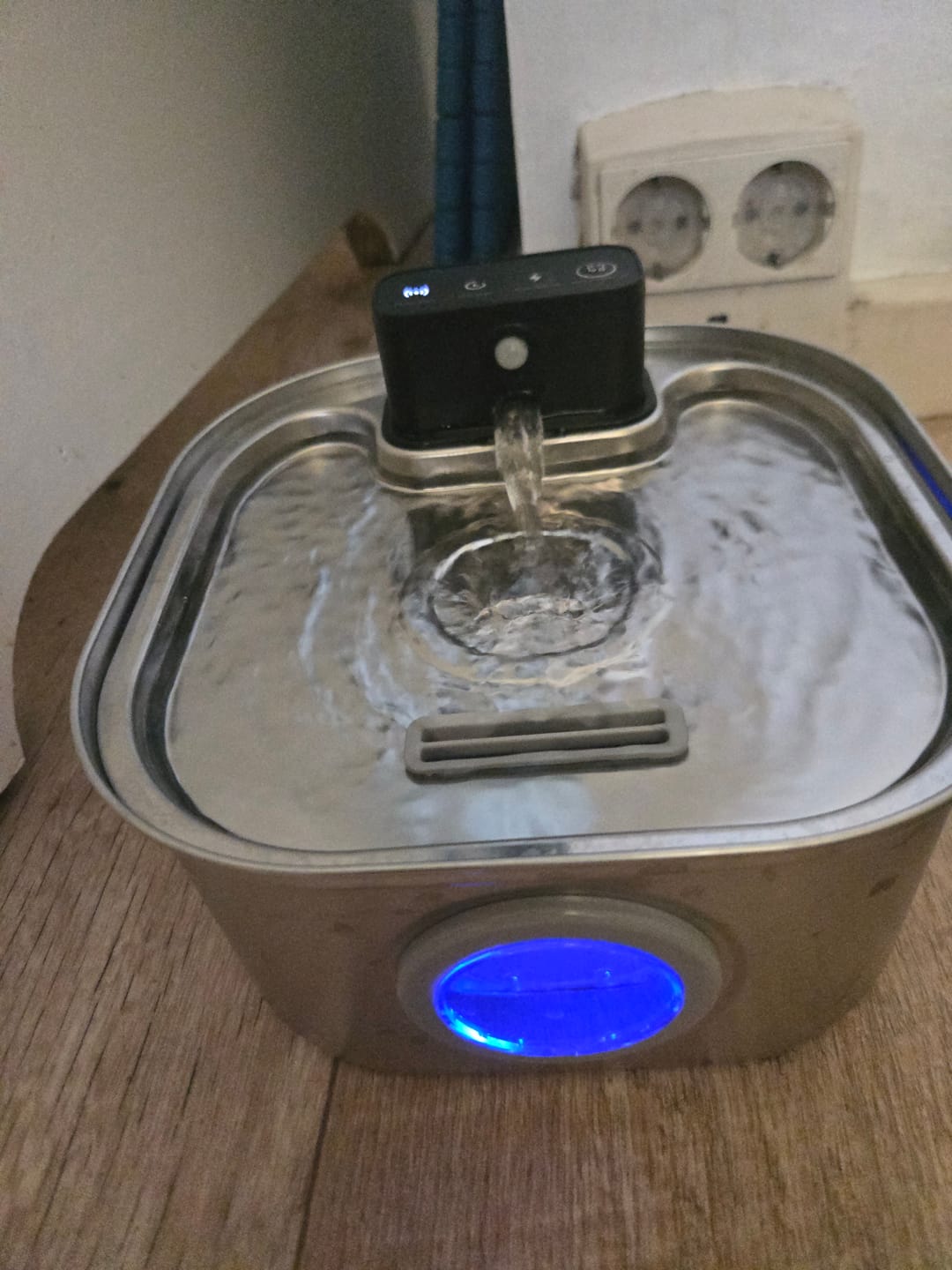 Customer photo review of PfotenBrunnen™ - Katzenwasserspender