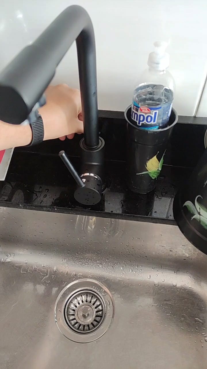 Customer photo review of Torneira Para Cozinha Gourmet Monocomando Com Filtro Royal Safira