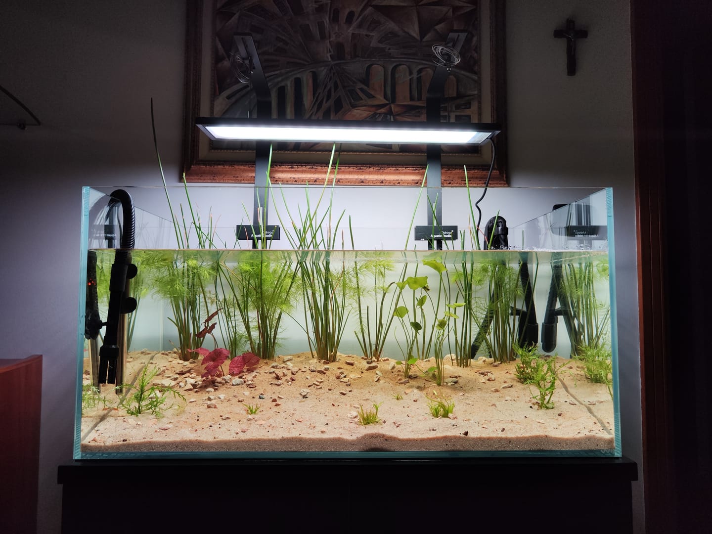 Customer photo review of Chihiros LED Lights Small Hanging Stand Kit