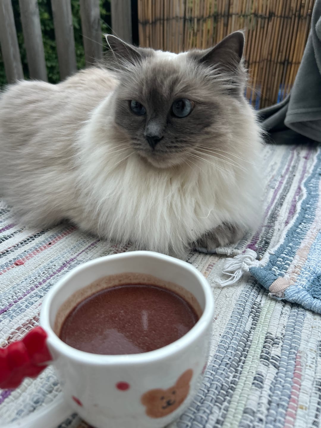 Customer photo review of Peruvian Ceremonial Grade Cacao
