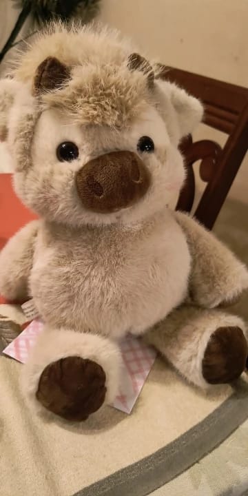 Customer photo review of Coco-Hug™ El peluche que corre