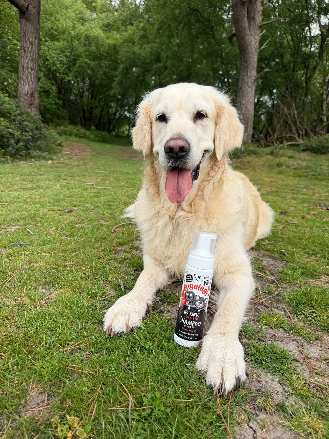 Customer photo review of No Rinse Flea & Tick Shampoo for Dogs