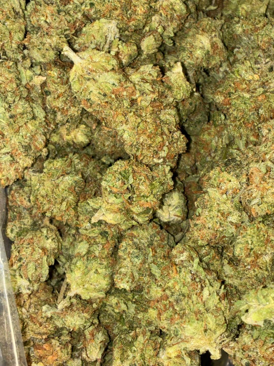 Customer photo review of Gas Face - Bulk - (Indica)