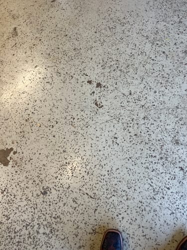 Customer image of a speckled floor, submitted with a review for the Hoffman Tactical Super Safety.