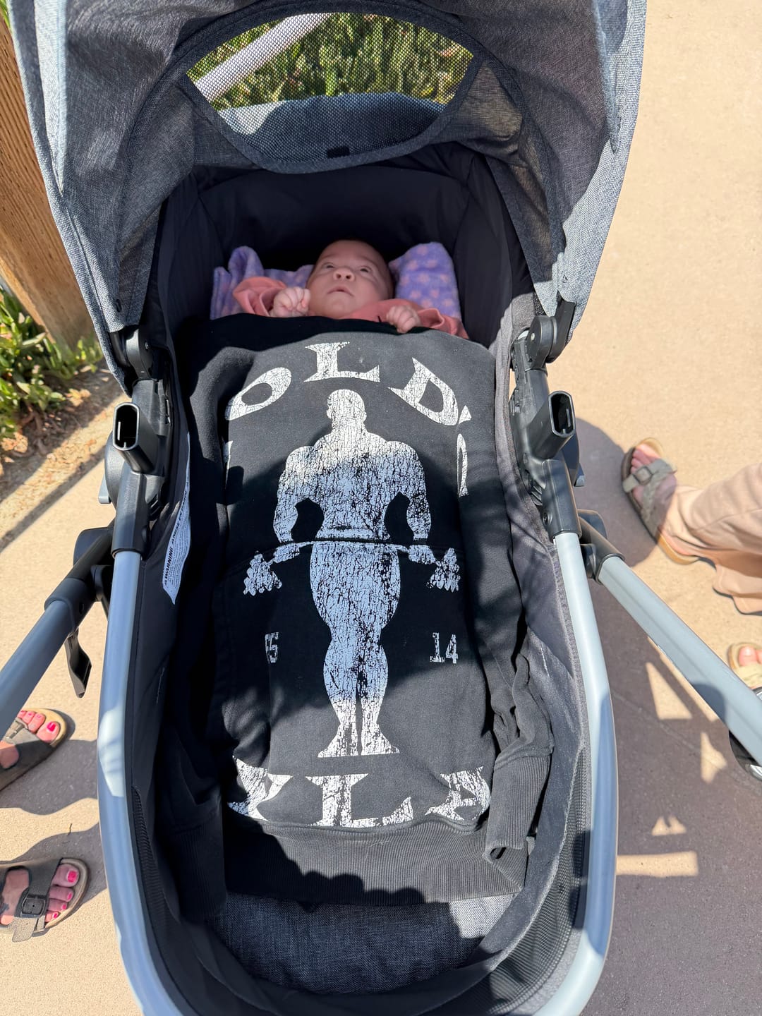 Customer photo review of 5161 - Golds Gym Classic Pullovers