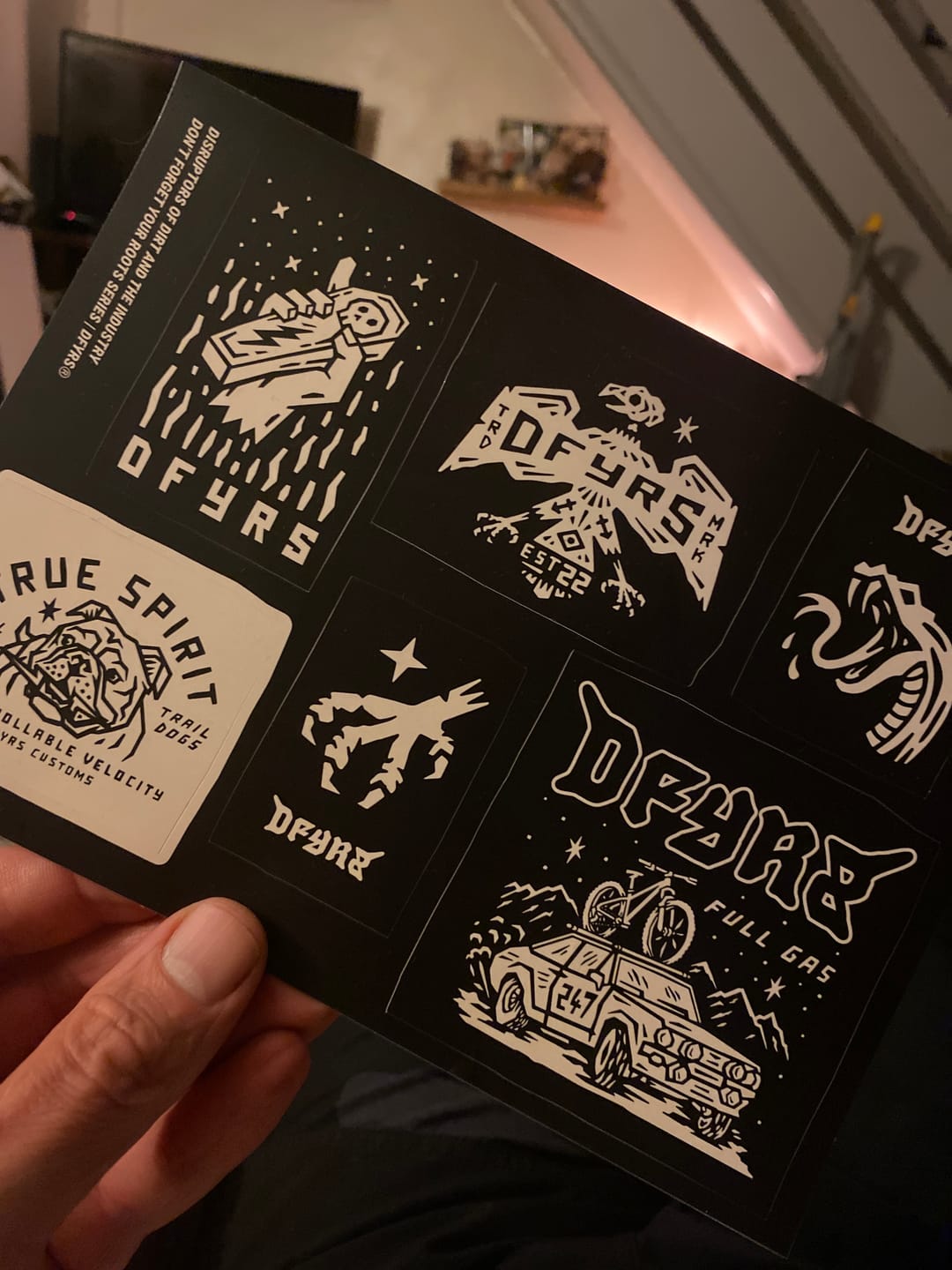Customer photo review of Lucky Dip | Sticker Sheet