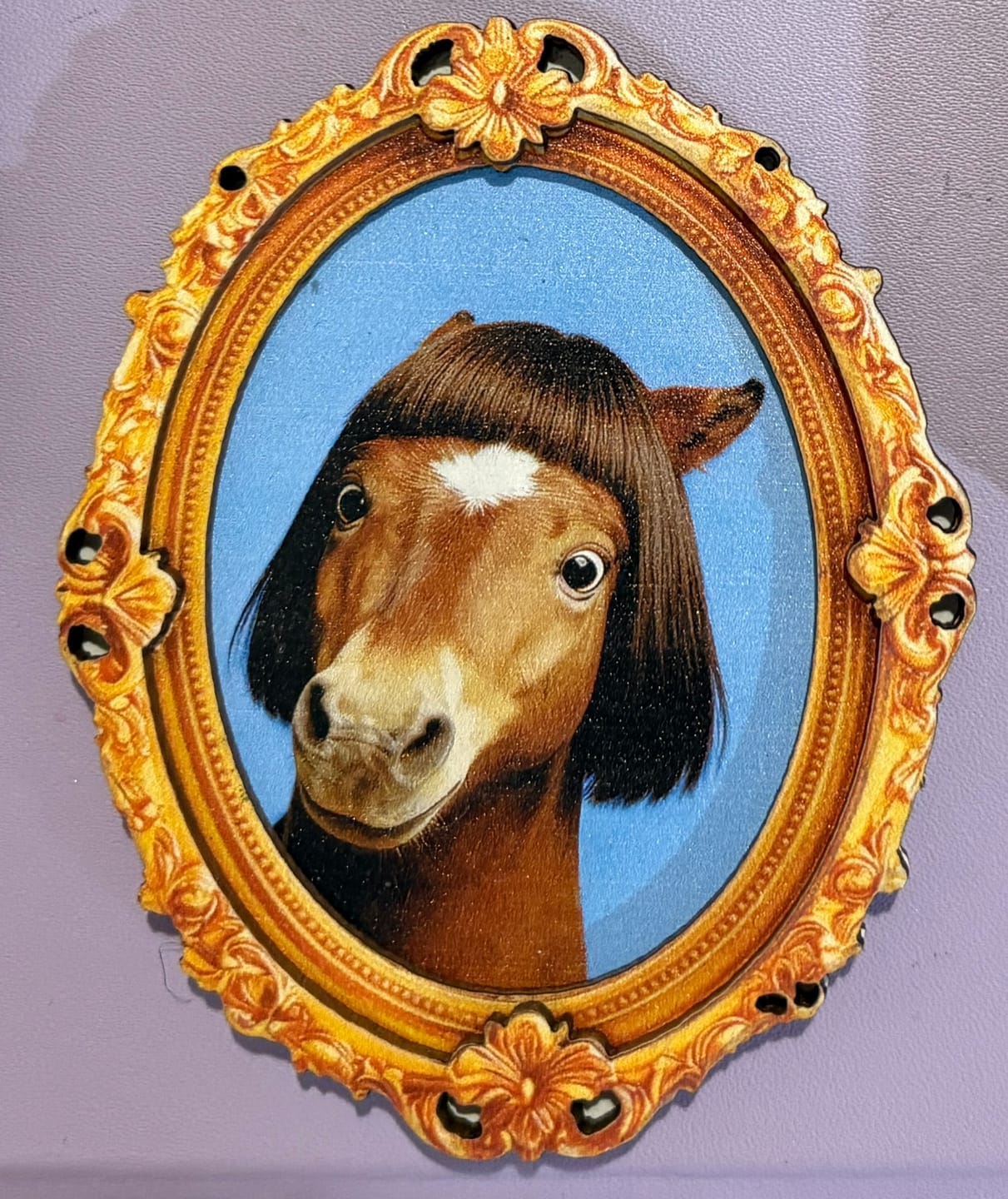 Customer photo review of Fringe Bob Horse Fridge Magnet