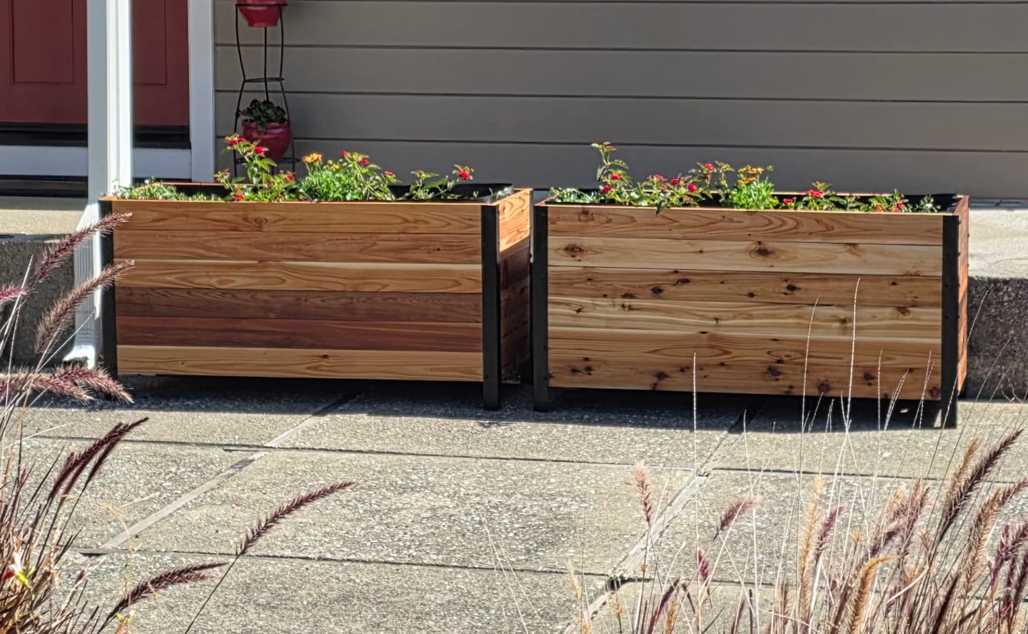 Customer photo review of 18" x 48" Planter Box - 24" TALL / Garden Grade