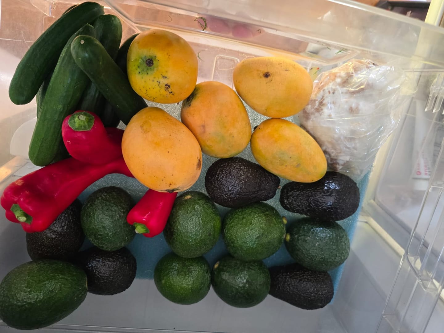 Customer photo review of Avocado Retterbox "Späternte" von Juan 3kg