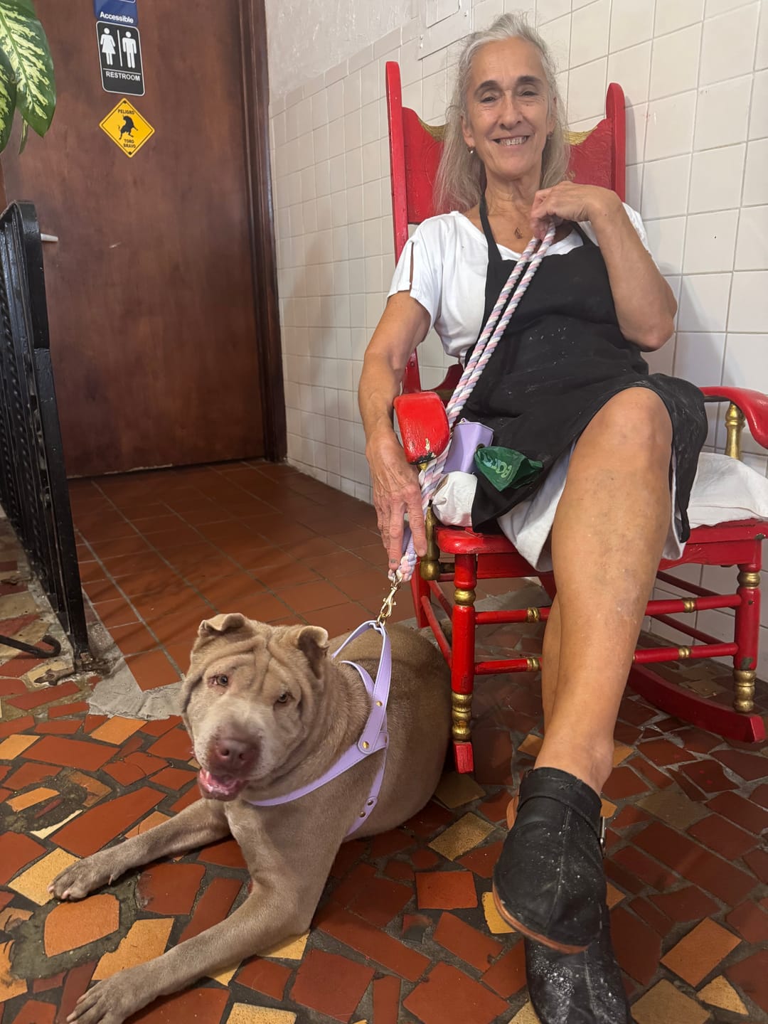Customer photo review of Lightweight Vegan Leather Harness