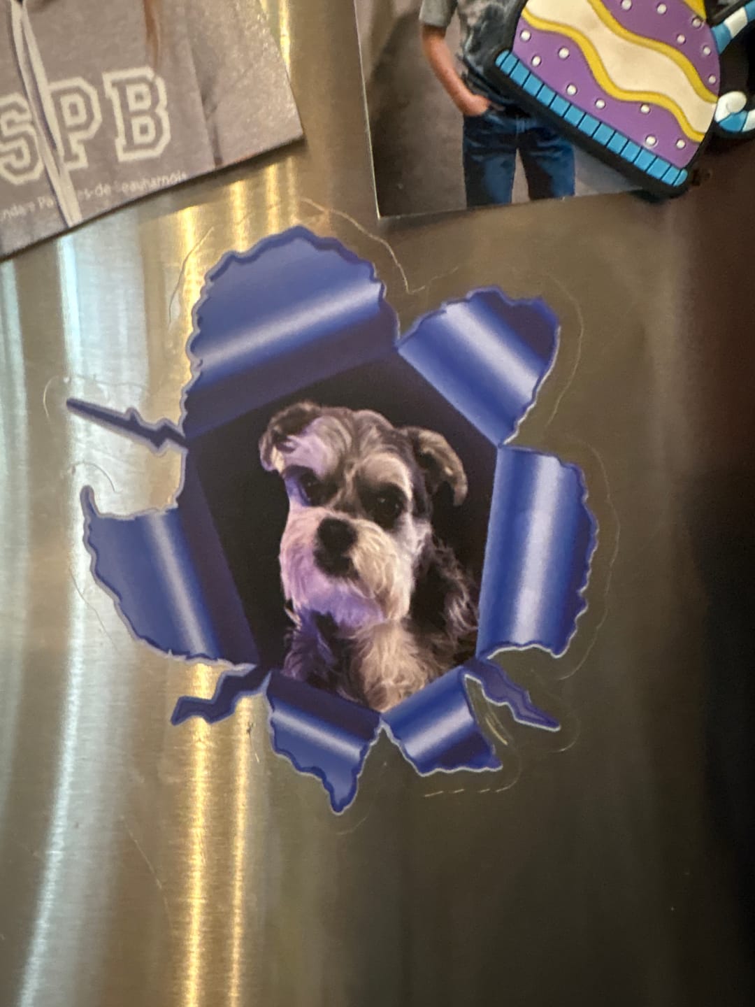 Customer photo review of Personalized Peeking Pets Decal - Gift For Pet Lovers