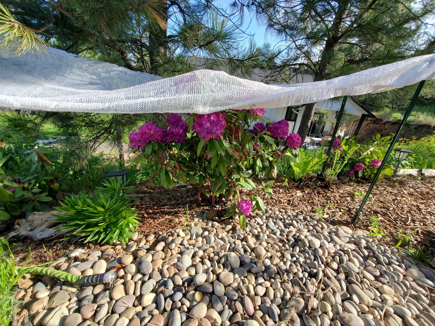 Customer photo review of 40% Shade Cloth