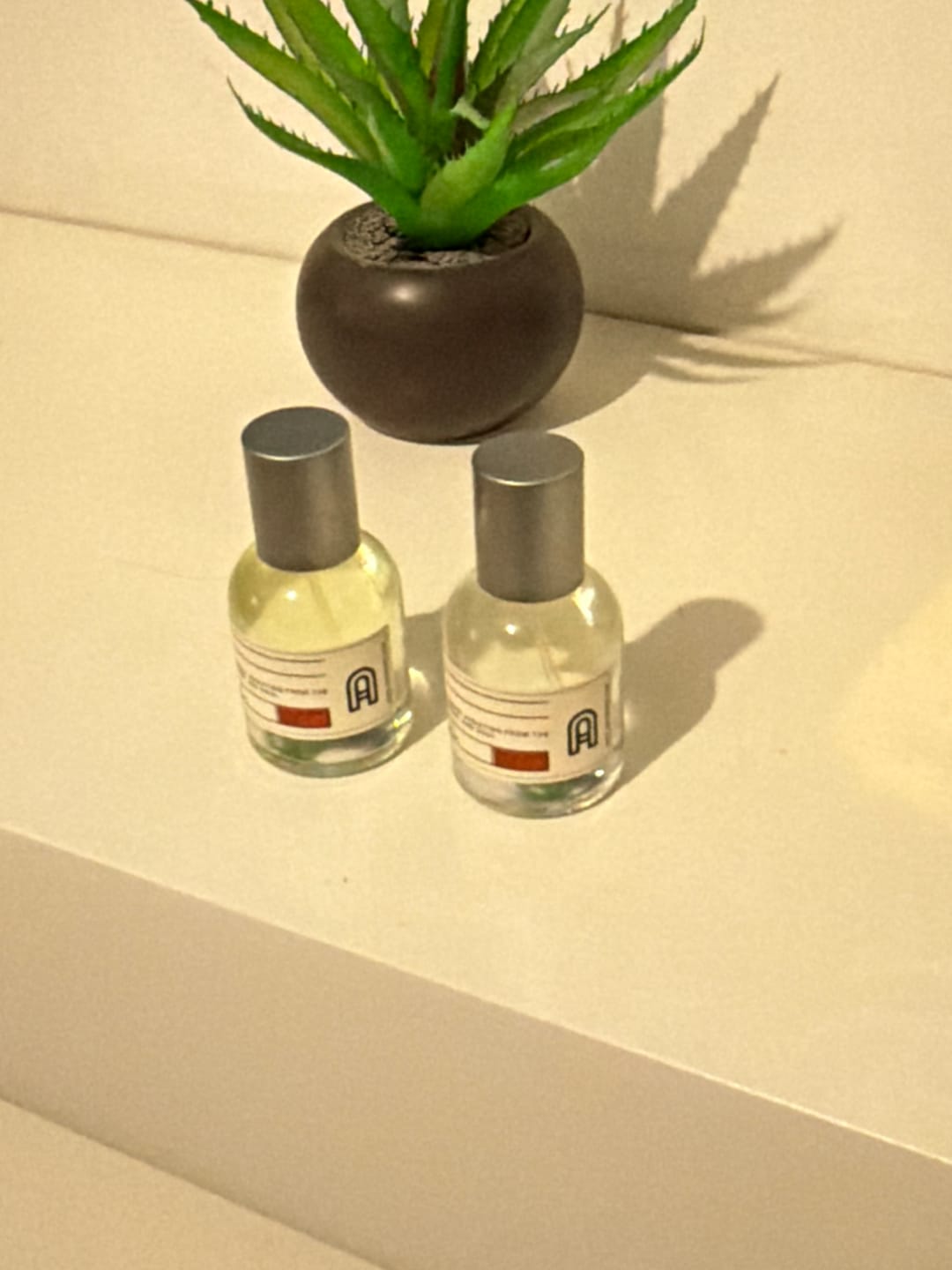Customer photo review of Grand Horizon (Parfum) Inspirado en L’Immensité (Louis Vuitton)