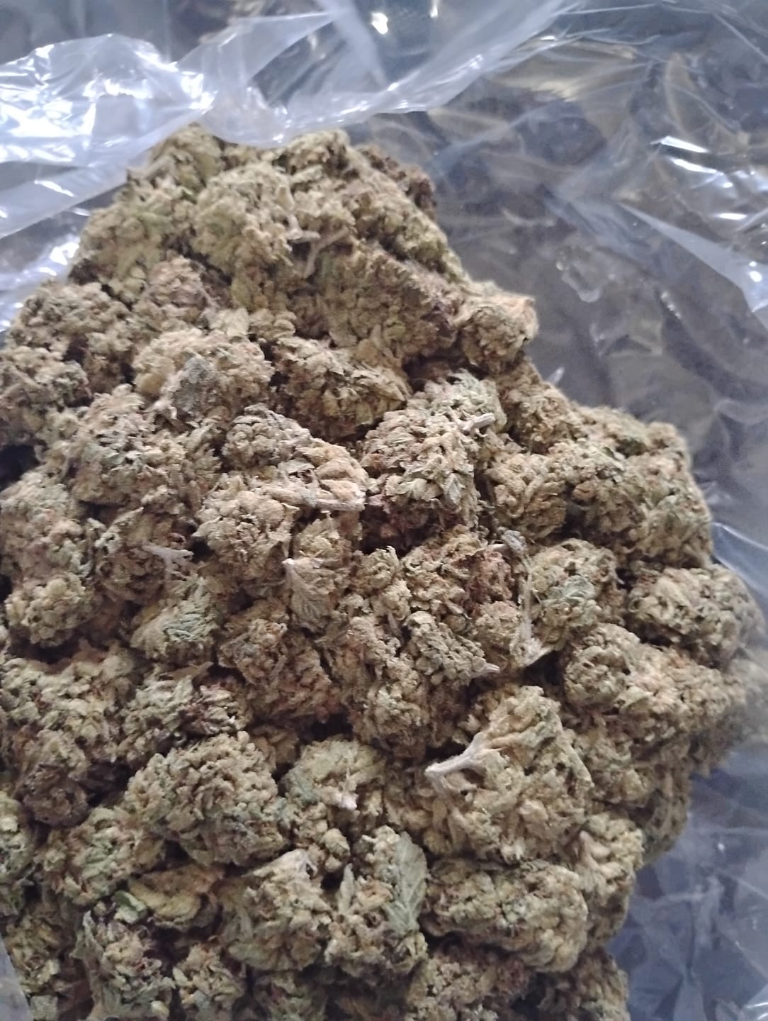 Customer photo review of Caramel Apple - Bulk - Hybrid