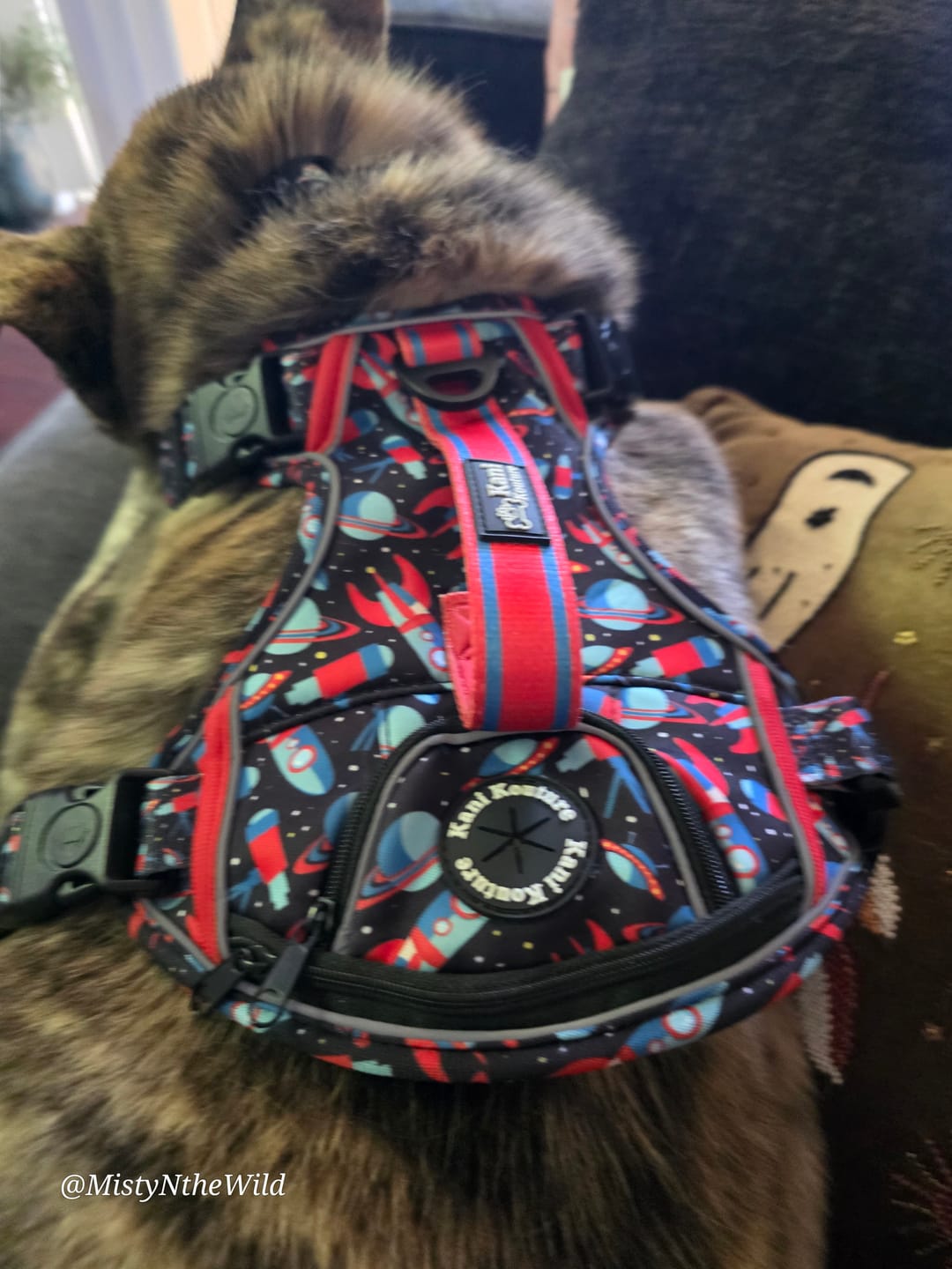 Customer photo review of Space Voyage - Adventure Harness