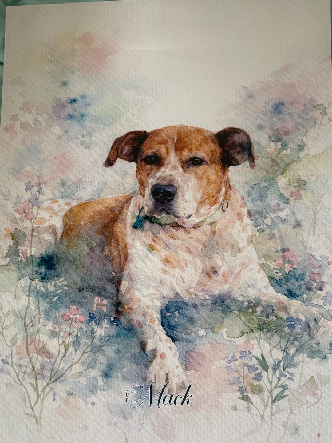 Customer photo review of Personalised Poster With Dog or Cat - Watercolour