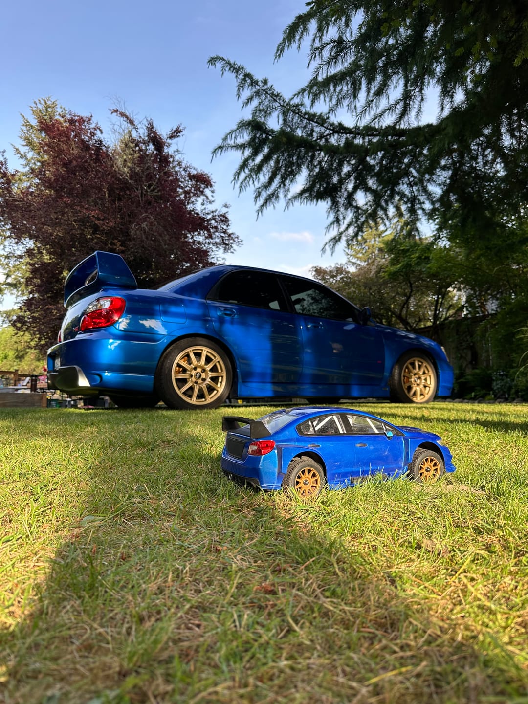 Customer photo review of Rlaarlo 1/10 Scale RTR 4WD Carbon Fiber Brushless RC Rally Car | XTS-S10