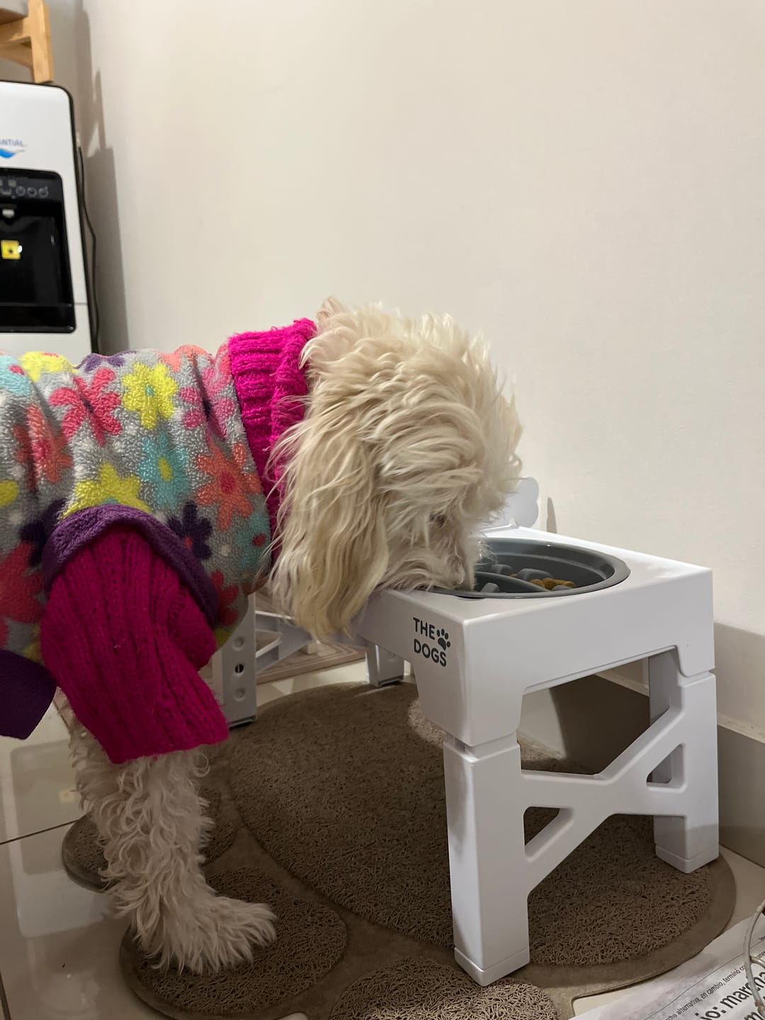 Customer photo review of Comedero Elevado THE DOGS Postura correcta en cada comida
