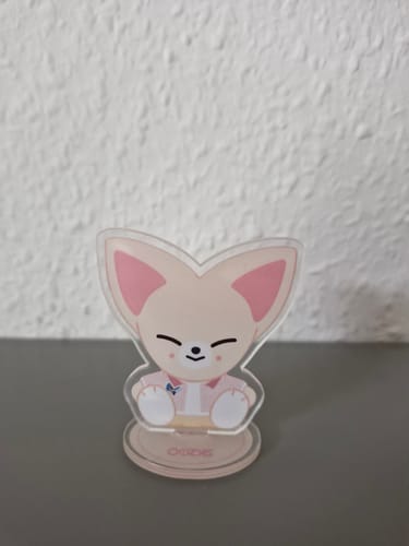 Customer photo review of SKZ Acrylic Tabletop Ornament 6CM
