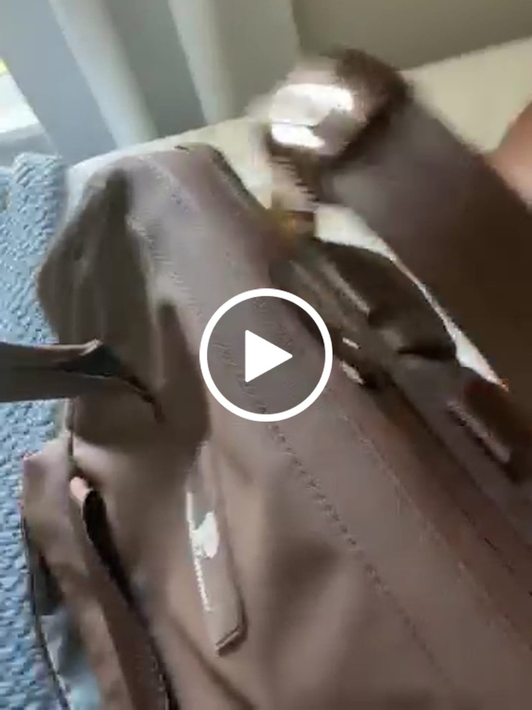 Customer video review of Cascade Backpack - Standard