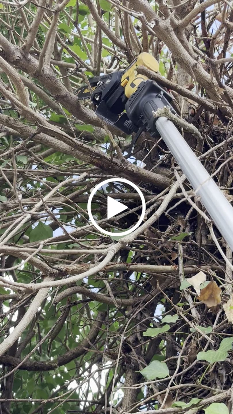 Customer video review of Catene di ricambio potatori Swansoft