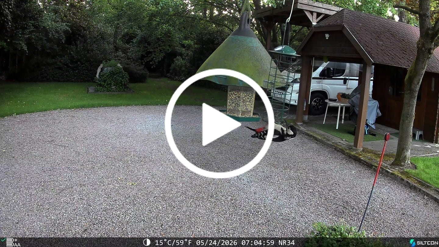 Customer video review of Siltcon® Wildcamera met Zonnepaneel 8K