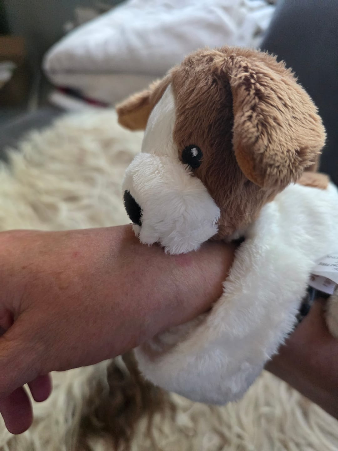 Customer photo review of Mini Lotgenootje Hond