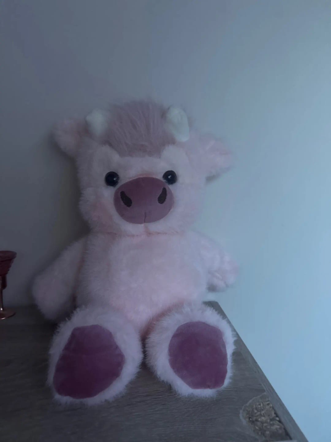Customer photo review of Coco-Hug™ El peluche que corre