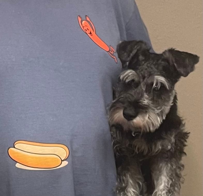 Customer photo review of Hotdog Dive — Premium Tee