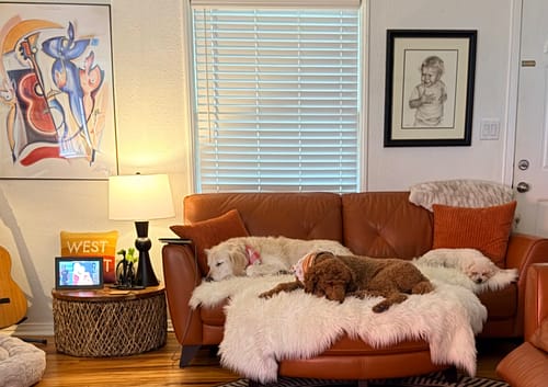 Customer photo review of Luxurious Faux Sheepskin Rug | Washable – Pet-Proof & Stain-Resistant Fluffy Shag Rug for Bedroom & Nursery