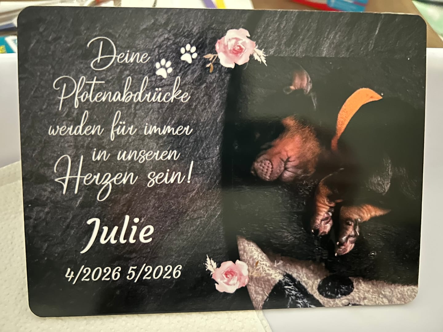 Customer photo review of Hunde Gedenktafel mit Foto & Spruch (UV- &  Wetterfest)