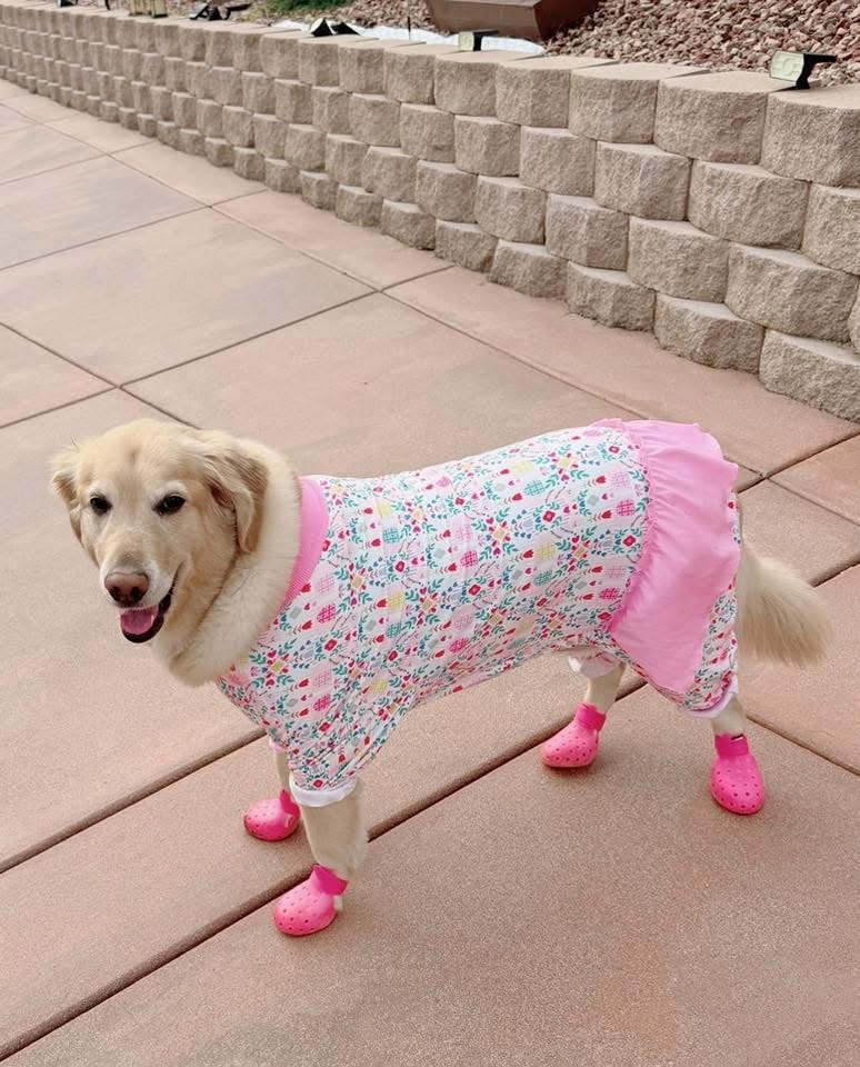 Customer photo review of WagWellies® by wagwear