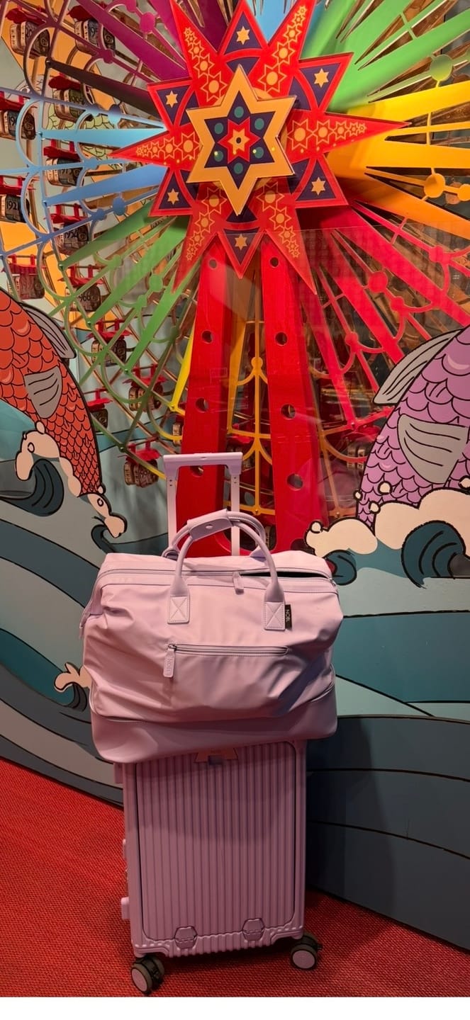 Customer photo review of Carry-On: All-in-One
