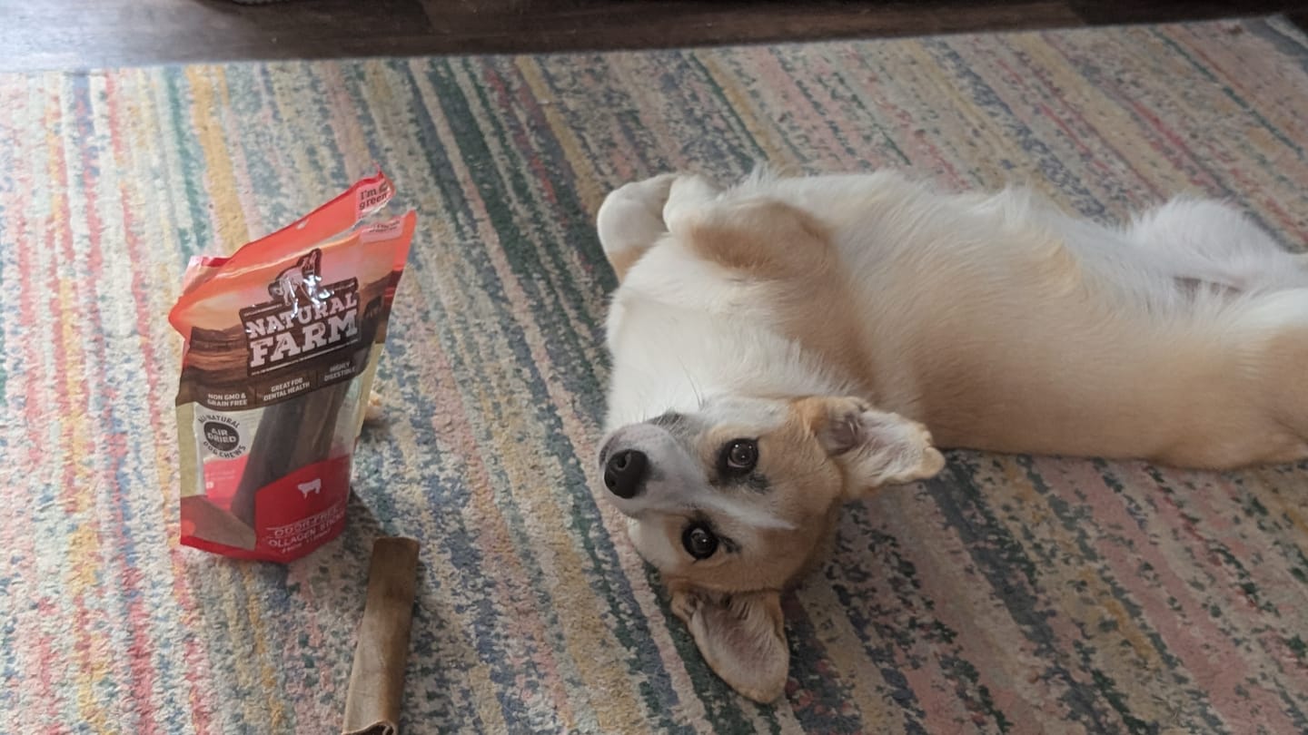 Customer photo review of 6 Inch Beef Collagen Sticks