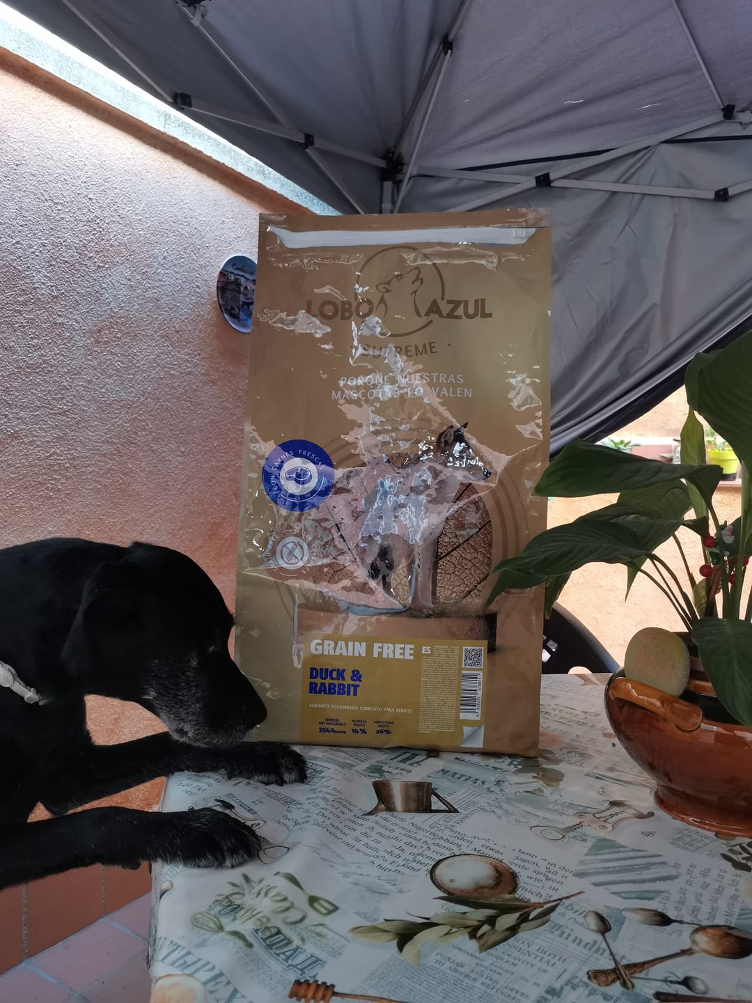 Customer photo review of Grain Free Adult Duck & Rabbit