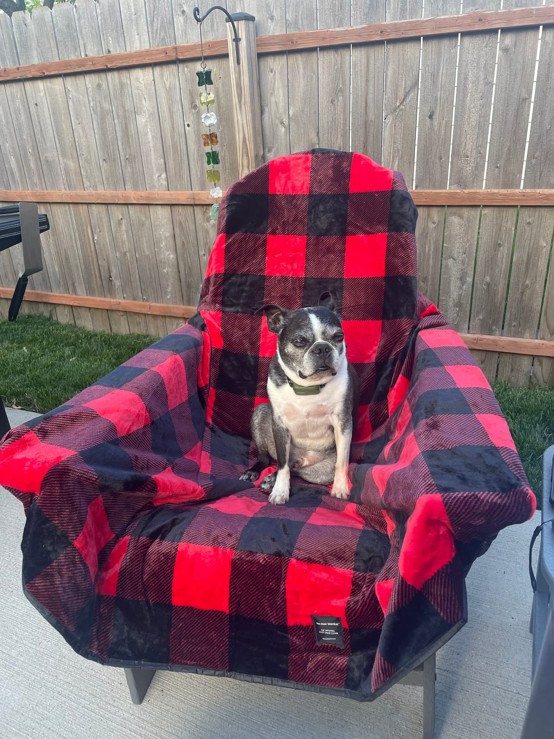 Customer photo review of The Chair Blanket