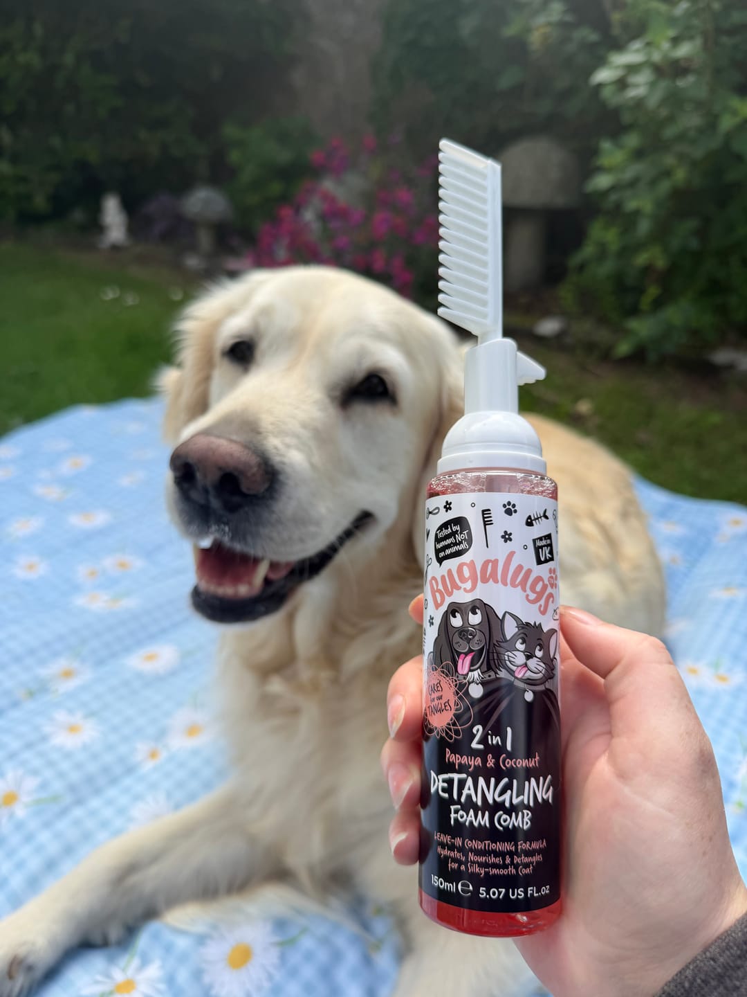 Customer photo review of Papaya & Coconut 2-in-1 Detangling Foam Comb for Dogs & Cats