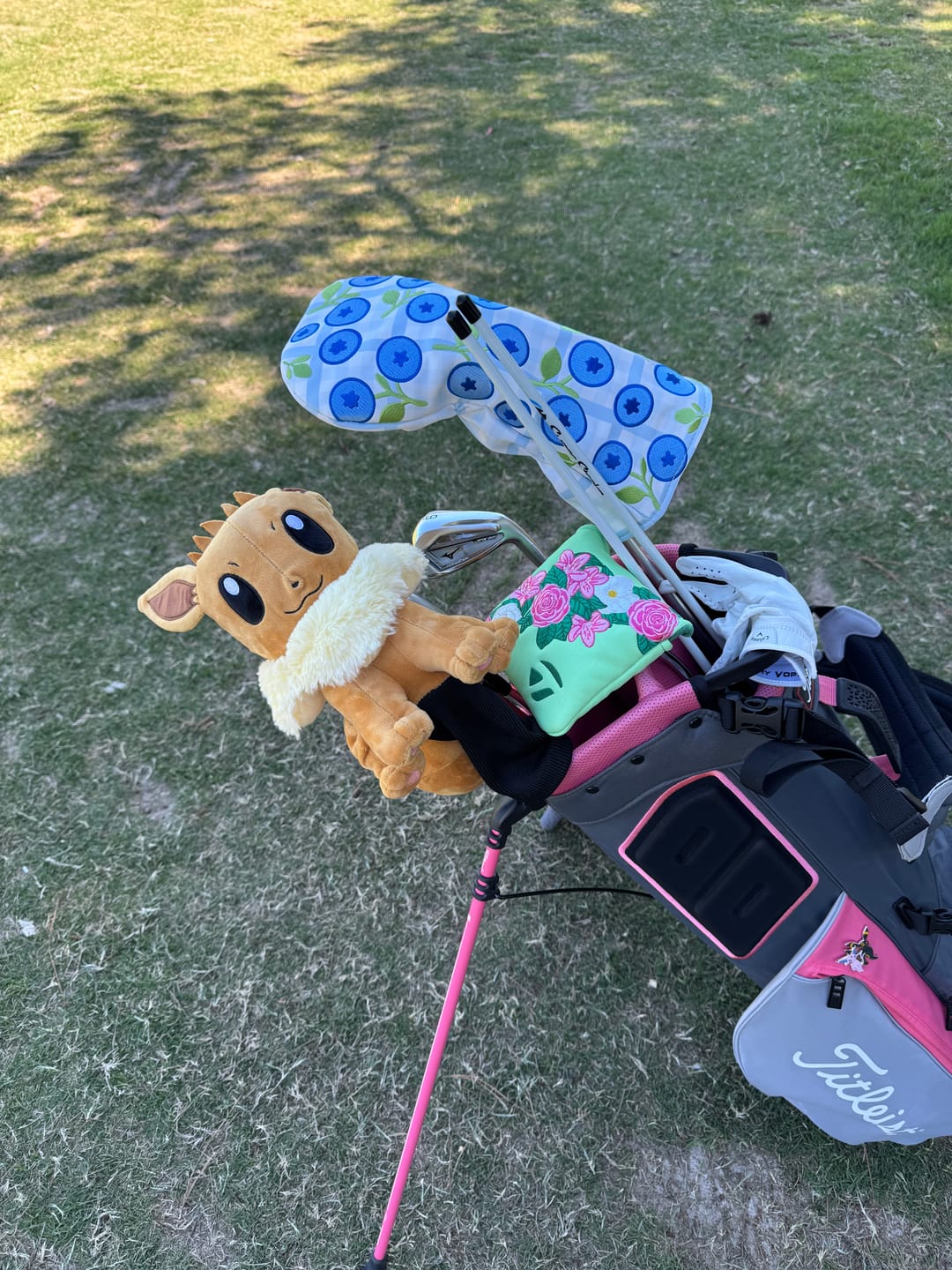 Customer photo review of Second Slice Driver Cover